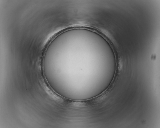 X0000112521356200908311347