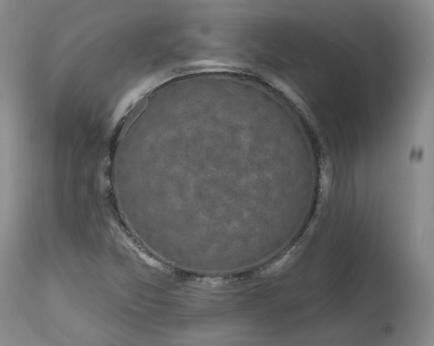 X0000112521357200908311347