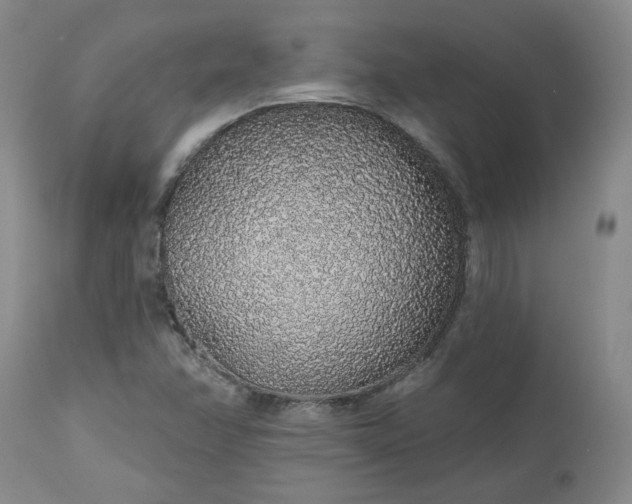 X0000112521358200908311347