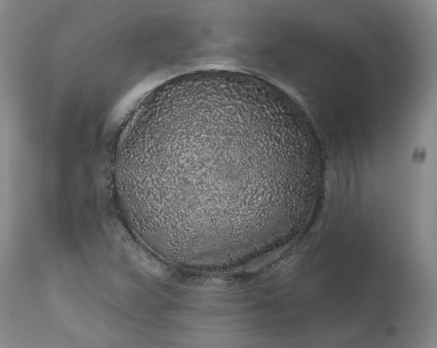 X0000112521359200908311347