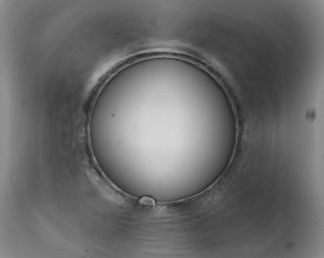 X0000112521360200908311347