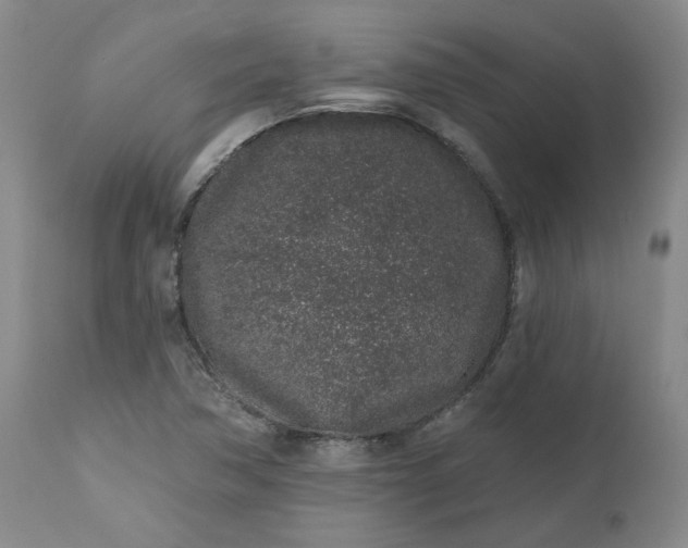 X0000112521362200908311347