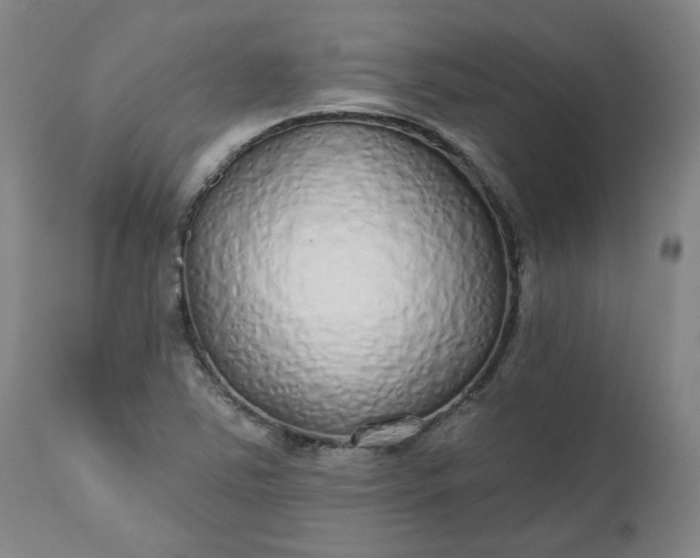 X0000112521363200908311347