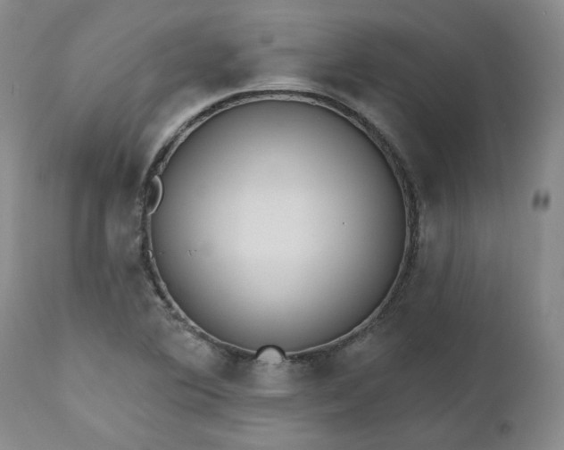 X0000112521364200908311347