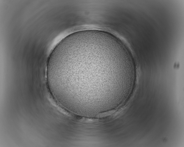 X0000112521365200908311347