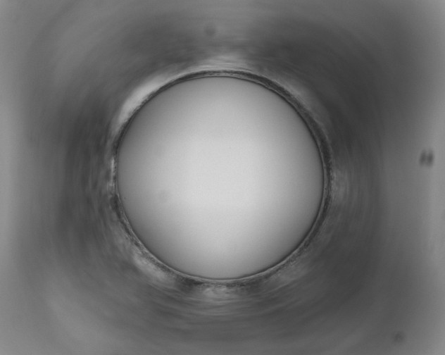 X0000112521366200908311347