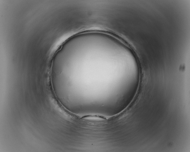 X0000112521367200908311347