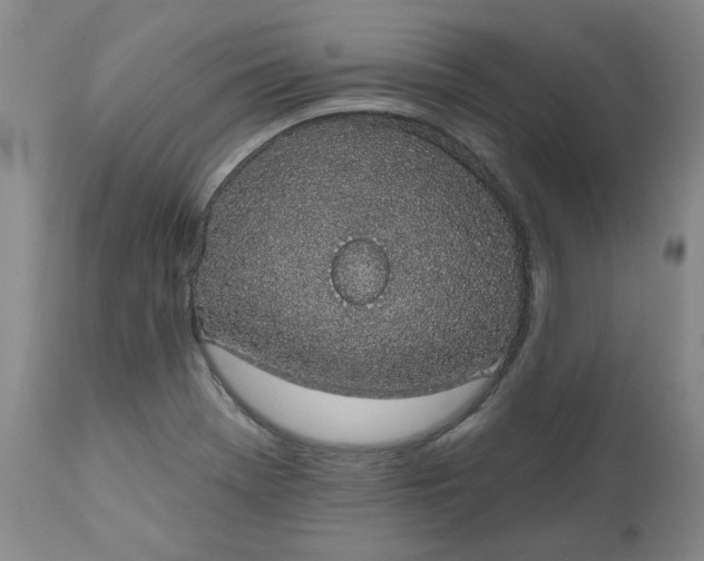 X0000112521369200908311347