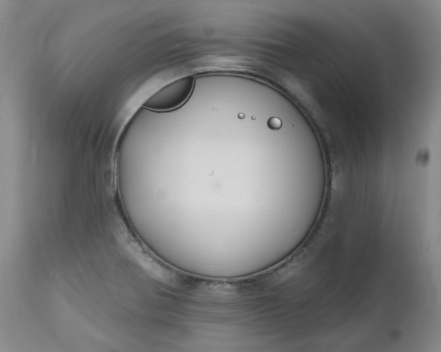 X0000112521370200908311347