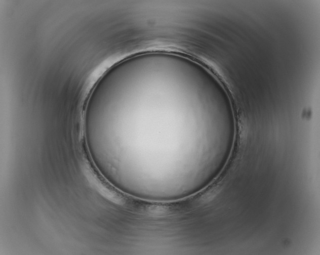 X0000112521371200908311347