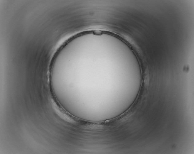 X0000112521372200908311347