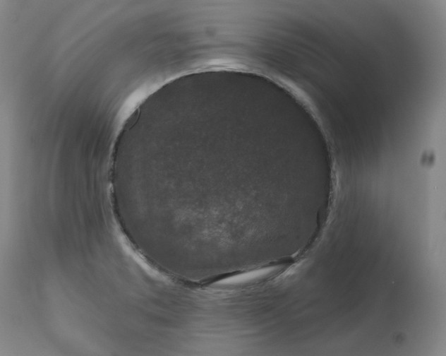 X0000112521373200908311347