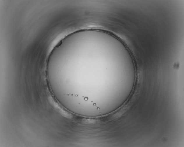 X0000112521374200908311347