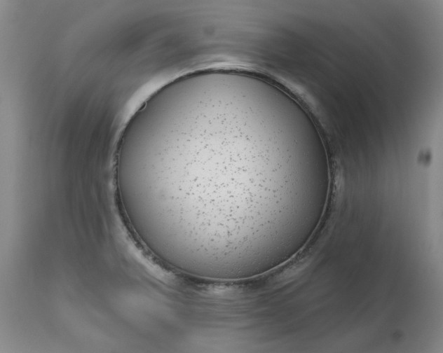 X0000112521375200908311347