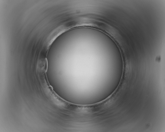 X0000112521377200908311347