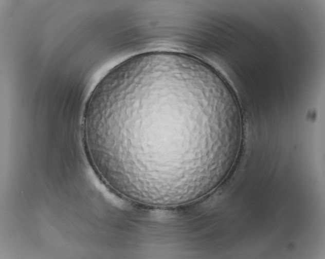 X0000112521379200908311347