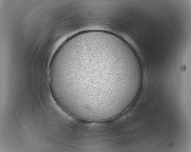 X0000112521380200908311347