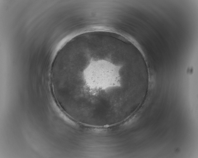 X0000112521381200908311347