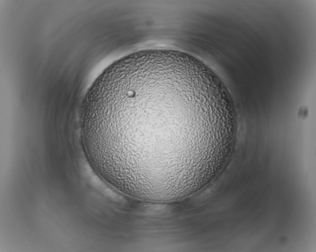 X0000112521382200908311347