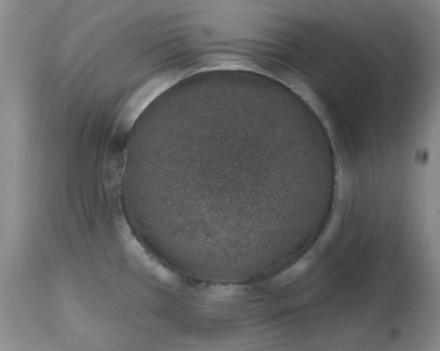 X0000112521385200908311347