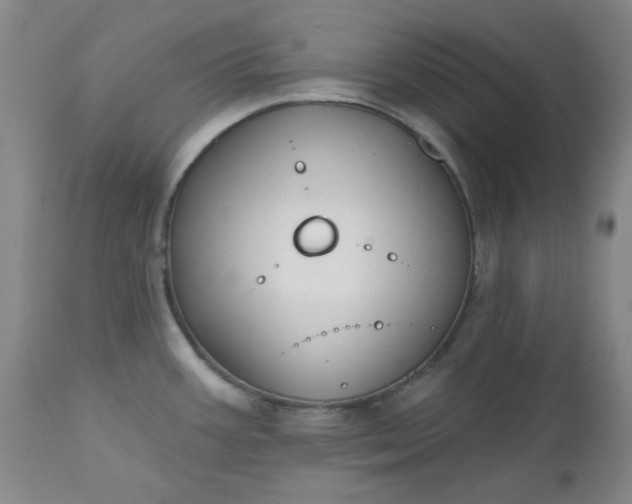 X0000112521387200908311347