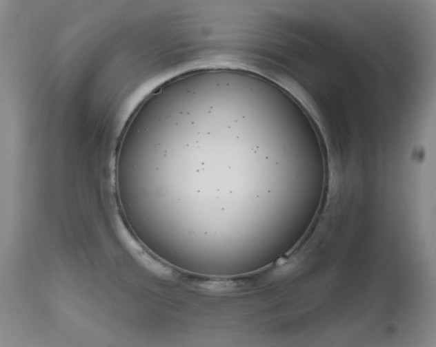 X0000112521388200908311347