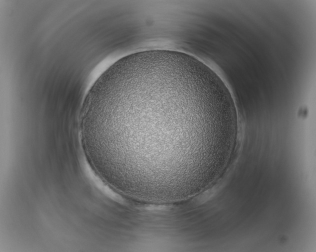 X0000112521389200908311347