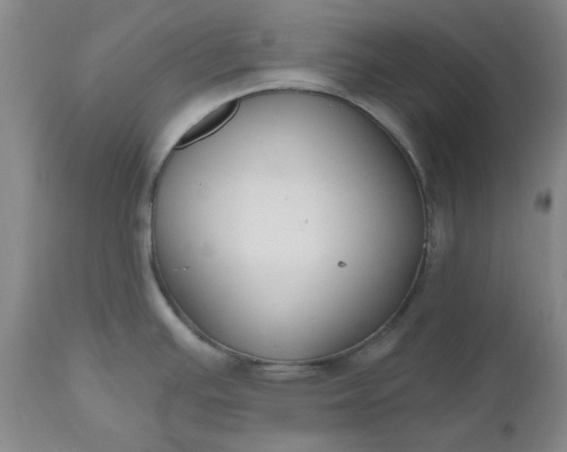 X0000112521391200908311347