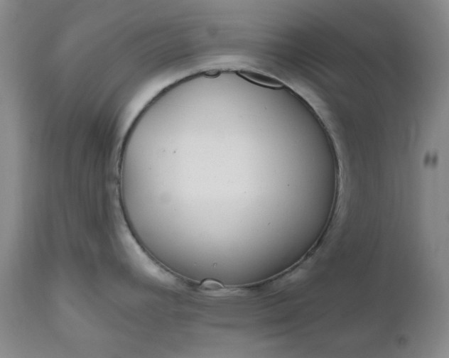 X0000112521392200908311347