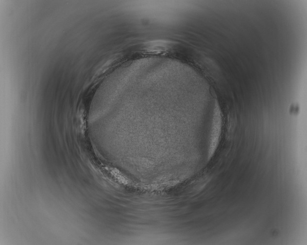 X0000112521394200908311346