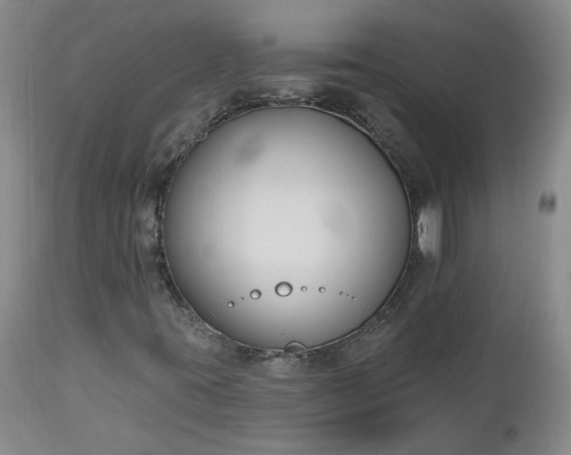 X0000112521395200908311346