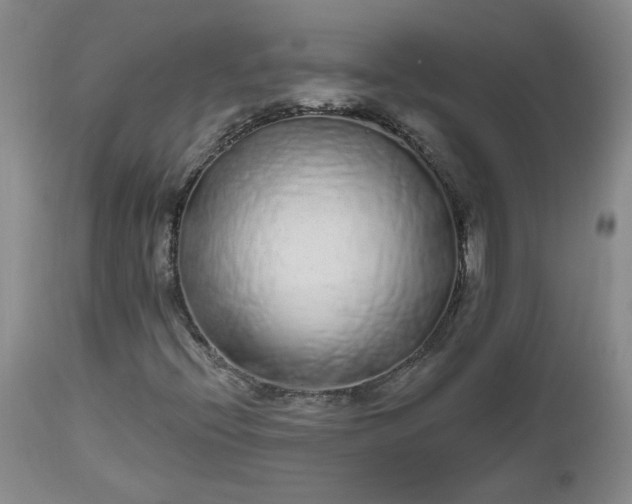 X0000112521396200908311346