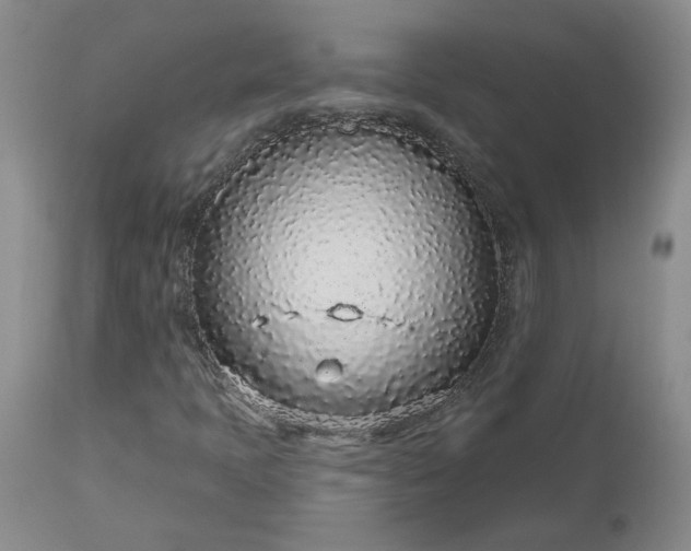 X0000112521397200908311346