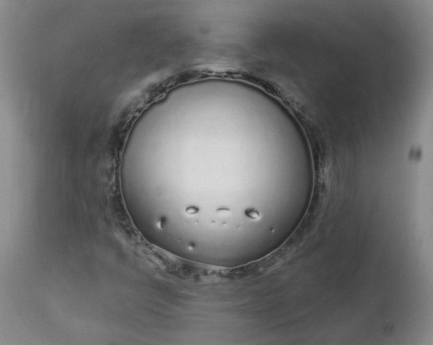 X0000112521398200908311346