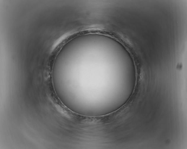 X0000112521400200908311346