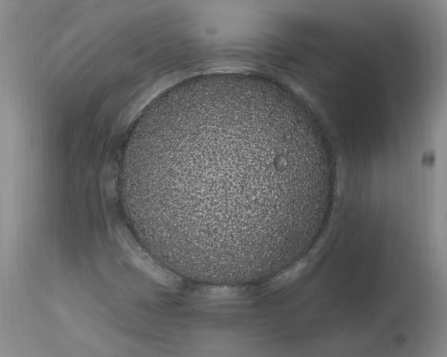 X0000112521401200908311346