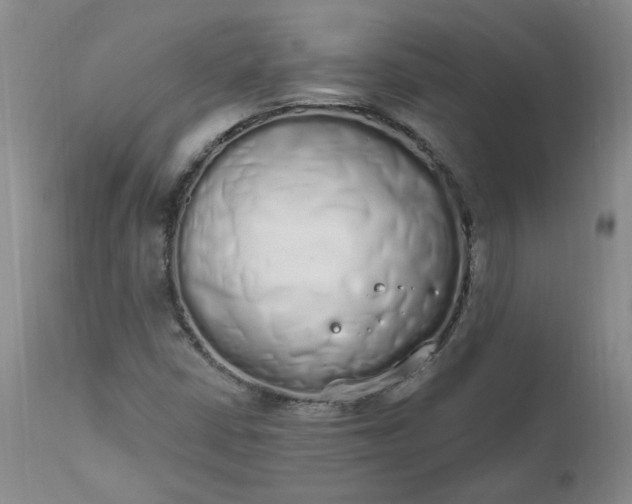 X0000112521402200908311346