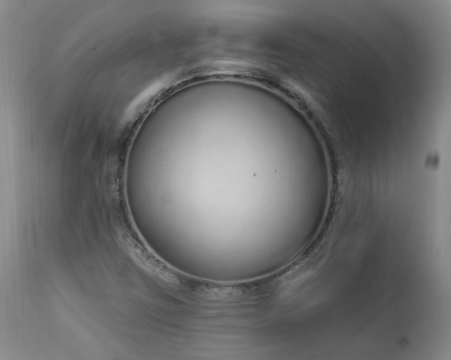 X0000112521403200908311346