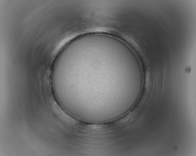 X0000112521404200908311346