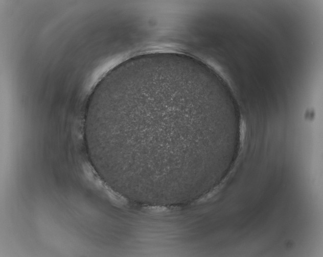 X0000112521405200908311346