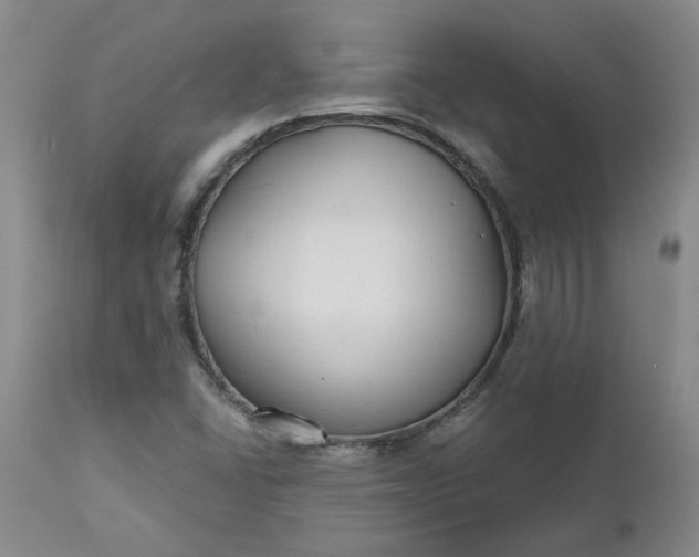 X0000112521406200908311346