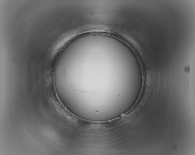X0000112521407200908311346