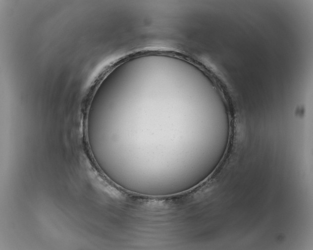 X0000112521408200908311346