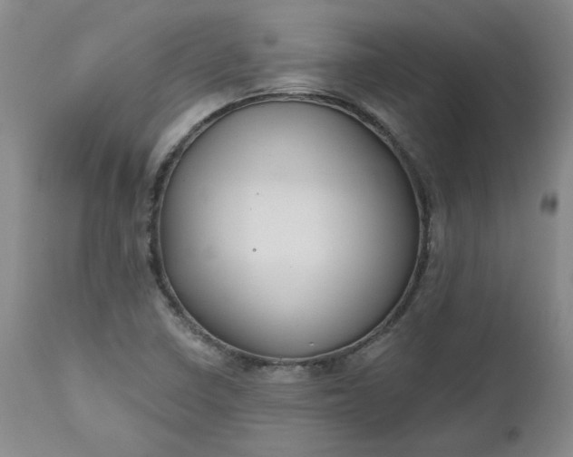 X0000112521410200908311346