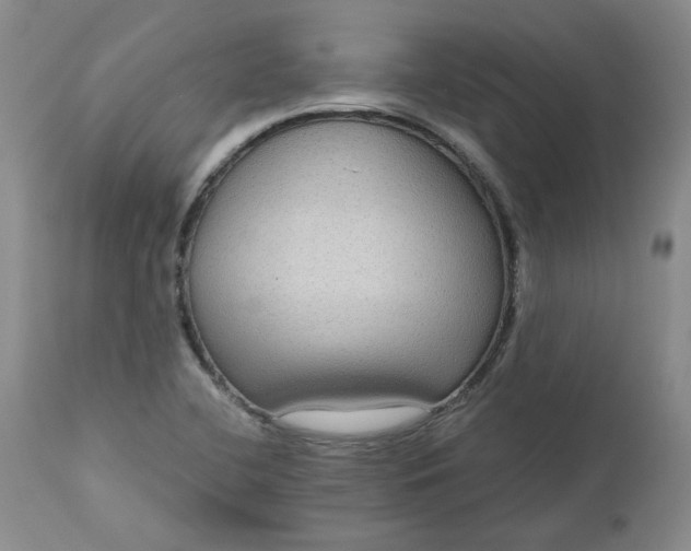 X0000112521412200908311346