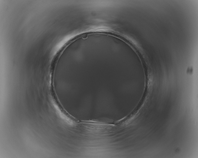 X0000112521414200908311346