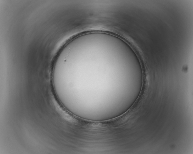 X0000112521416200908311346