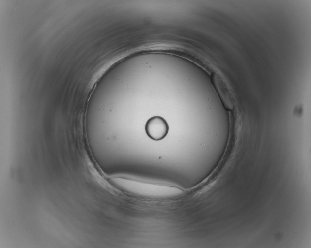 X0000112521417200908311346