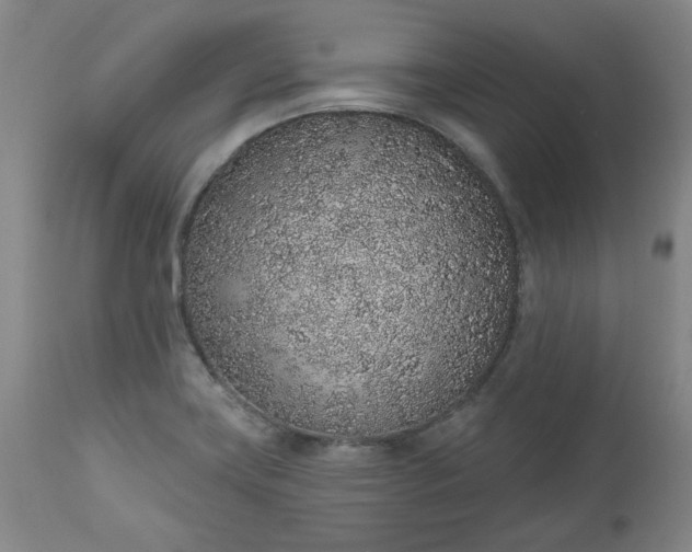 X0000112521419200908311346