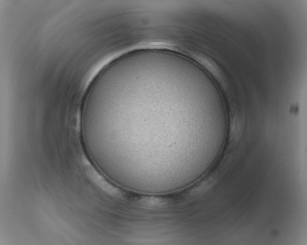 X0000112521420200908311346